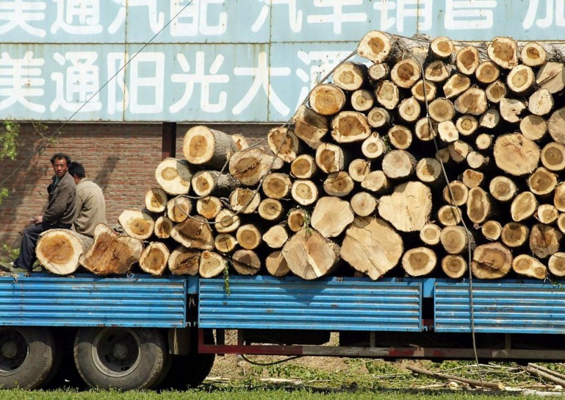 CHINA-ENVIRONMENT-LOGGING