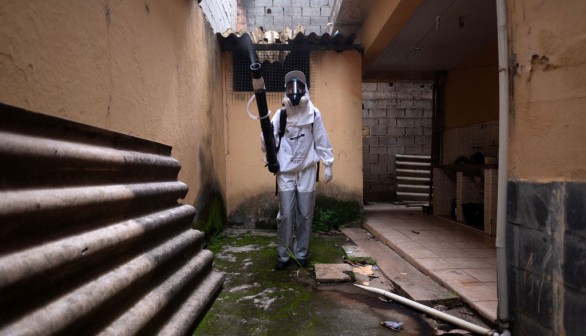 dengue outbreak in Brazil