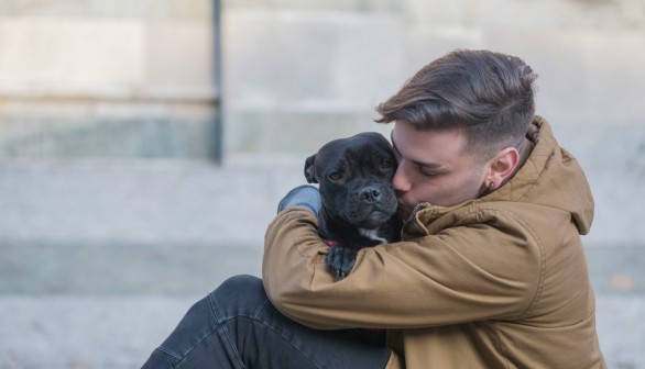 Dogs Unable to Understand What Hugging from Humans Mean, Making Them Feel 'Afraid' or 'Stressed' [Study]