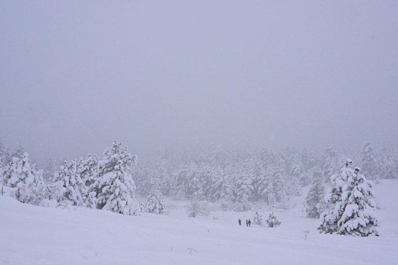 Mid March Snowstorm Dumps Over A Foot Of Snow In Boulder, Colorado Area