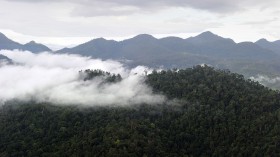 A stock photo of Borneo island