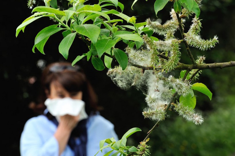 Spring Allergies from allergenic pollen