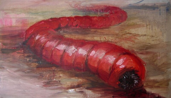 Mongolian Death Worm: Weighing Facts vs. Rumors Surrounding the Gobi Desert Creature