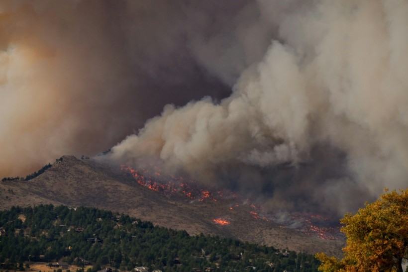 2024 Wildfire Season in Mexico: Over 100 Intense Blazes Fueled by Dry and Warm Conditions