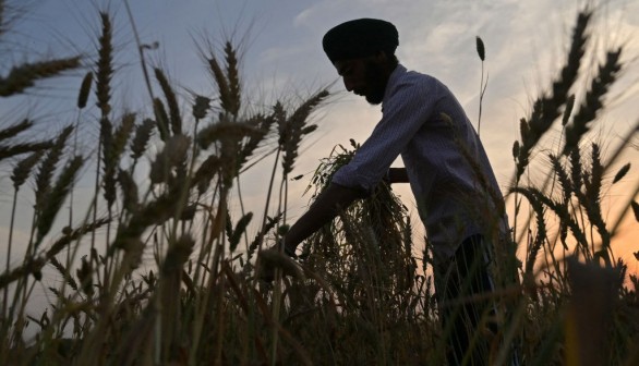 INDIA-AGRICULTURE-ECONOMY