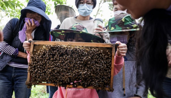TAIWAN-AGRICULTURE-LIFESTYLE-BEE-HONEY