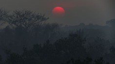 Incêndio em Iranduba-BRAZIL-AMAZON-FOREST-FIRE