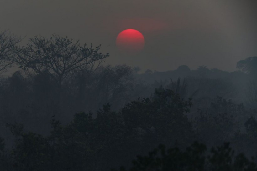 Incêndio em Iranduba-BRAZIL-AMAZON-FOREST-FIRE