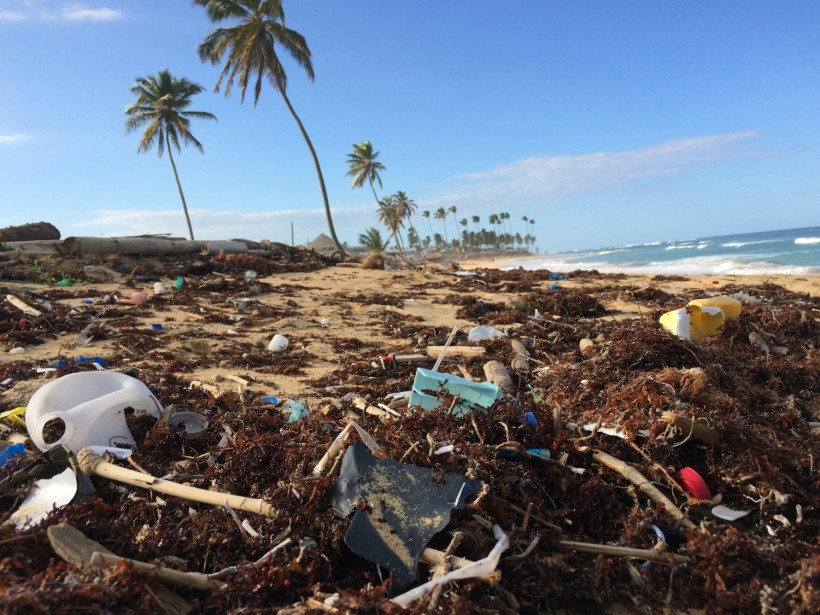 Plastic Pollution: Scientists Include Spores of Plastic-Eating Bacteria ‘Bacillus Subtilis’ to Develop 'Self-Digesting Plastic' [Study]