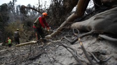 Recent wildfires in Chile