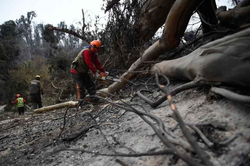 Recent wildfires in Chile