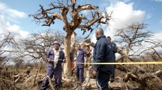 KENYA-ENVIRONMENT-CONSERVATION-CARBON