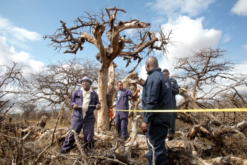 KENYA-ENVIRONMENT-CONSERVATION-CARBON