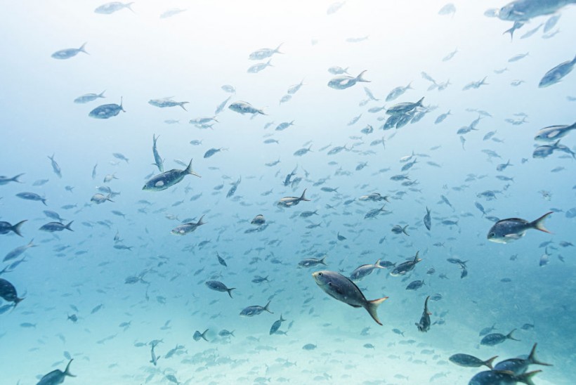 Underwater ocean