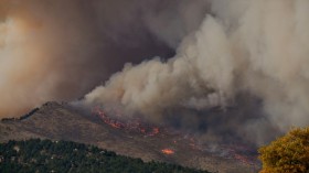Canada Wildfire Alert: Raging Blaze Approaching Town Forces Thousands of Evacuations