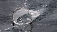 A net used to catch plankton samples