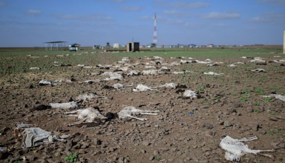 Drought in Kenya