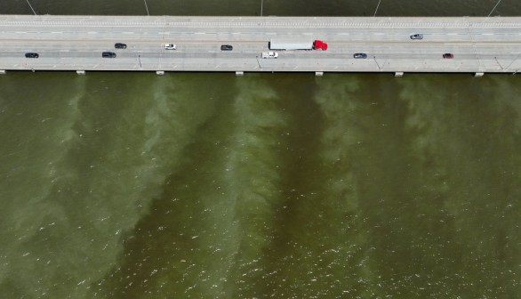 Algae Bloom Fills Bay Area Waters