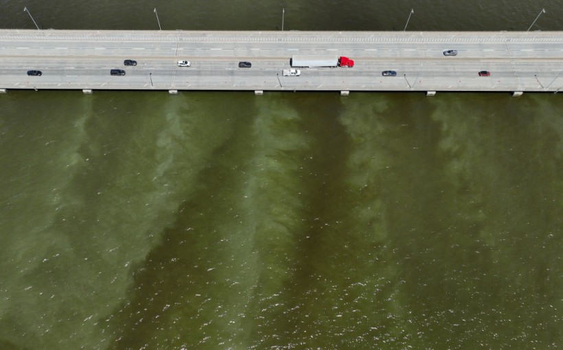 Algae Bloom Fills Bay Area Waters