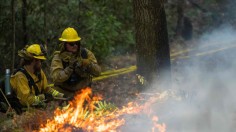 Firefighters with California State Parks 