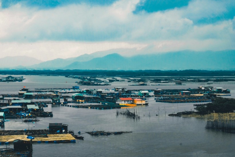 Pacific Northwest Weather: Heavy Rain with Strong Winds Persist Across Region Amid Rare June Atmospheric River