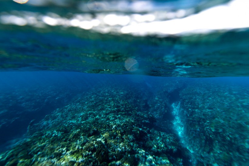 SHISEIDO Tahiti Pro Presented By Outerknown