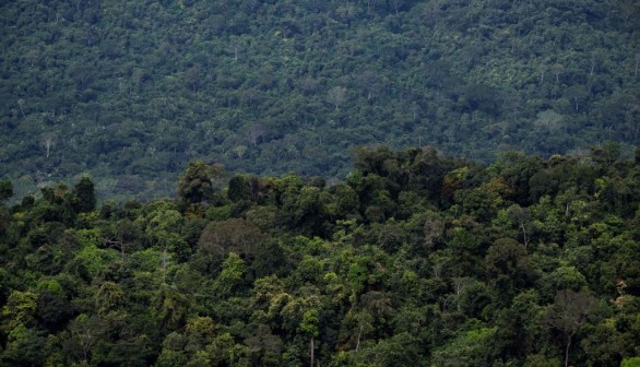 BRAZIL-AMAZON-RAINFOREST