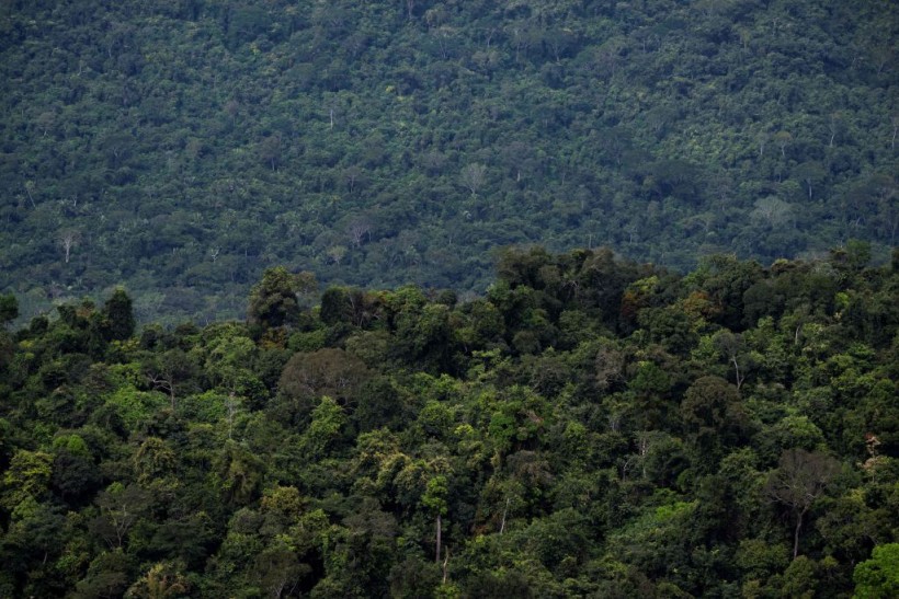 BRAZIL-AMAZON-RAINFOREST