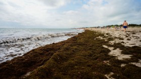 SPAIN-CLIMATE-WEATHER-HEAT-SEA