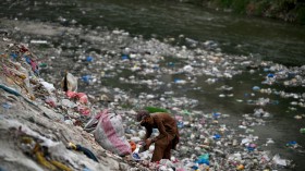 A man searching for recyclable items