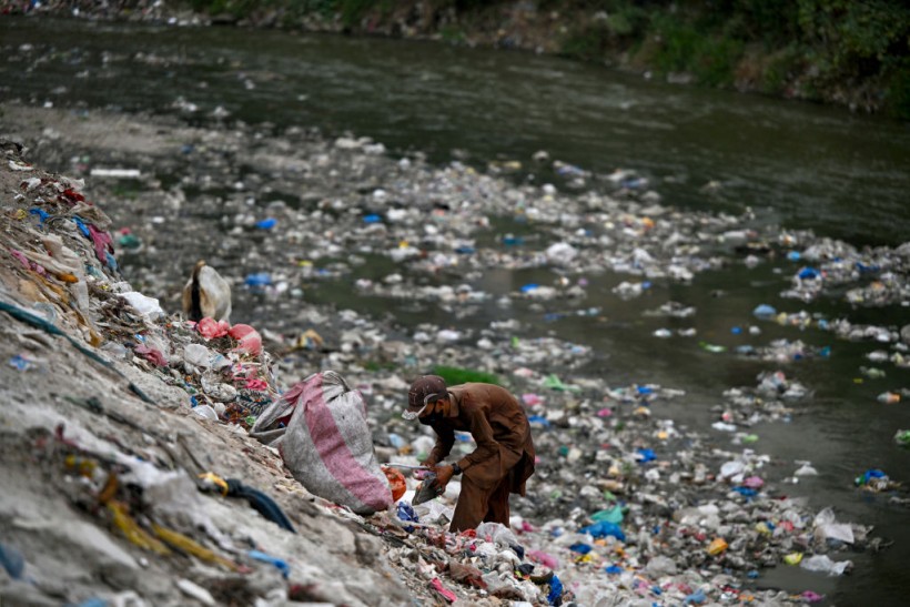 A man searching for recyclable items