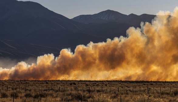 Hidden Dead Trees Discovered by Artificial Intelligence Contributed to Catastrophic 2020 California Wildfires [Study]