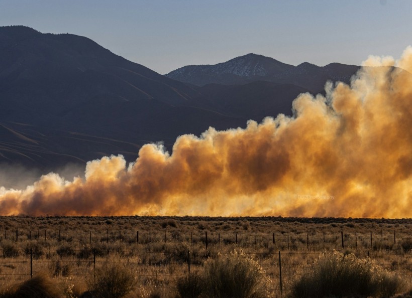 Hidden Dead Trees Discovered by Artificial Intelligence Contributed to Catastrophic 2020 California Wildfires [Study]