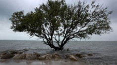 Rain And Seasonal King Tide Briing Coastal Flooding To Florida Shoreline Communities