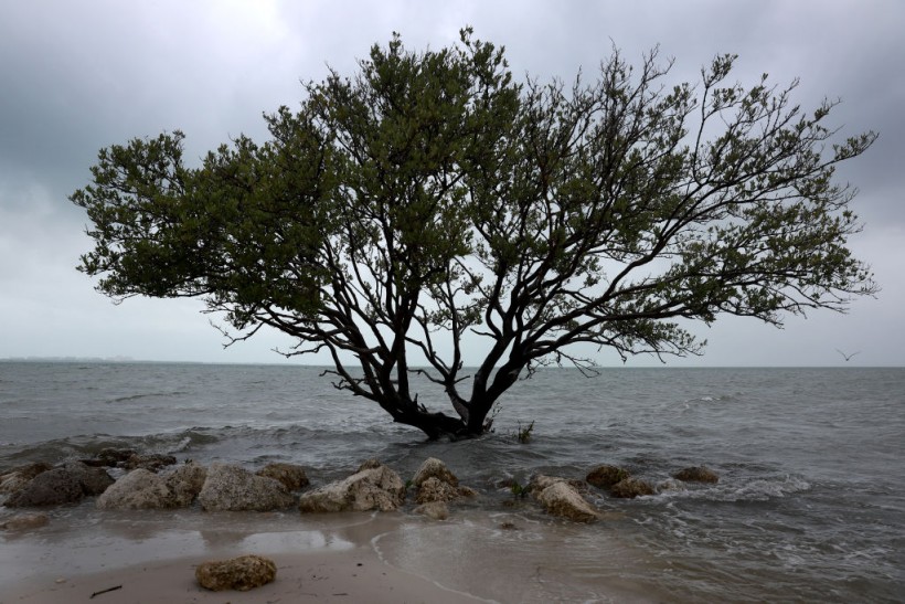 Rain And Seasonal King Tide Briing Coastal Flooding To Florida Shoreline Communities