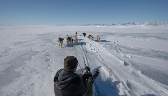 DENMARK-GREENLAND-ENVIRONMENT-HUNTING-TRADITION