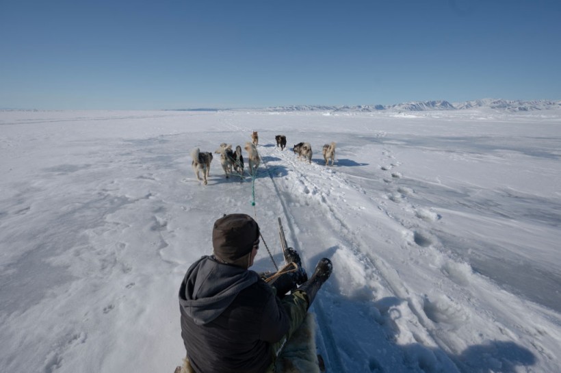 DENMARK-GREENLAND-ENVIRONMENT-HUNTING-TRADITION