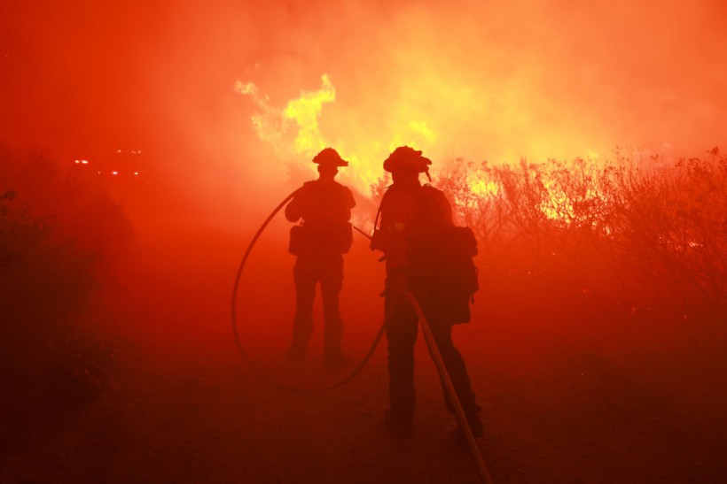 Firefighters from the Los Angeles Fire Department (LAFD)