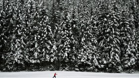 GERMANY-WEATHER-SNOW