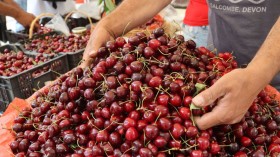 LEBANON-AGRICULTURE