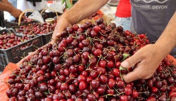 LEBANON-AGRICULTURE