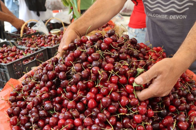 LEBANON-AGRICULTURE