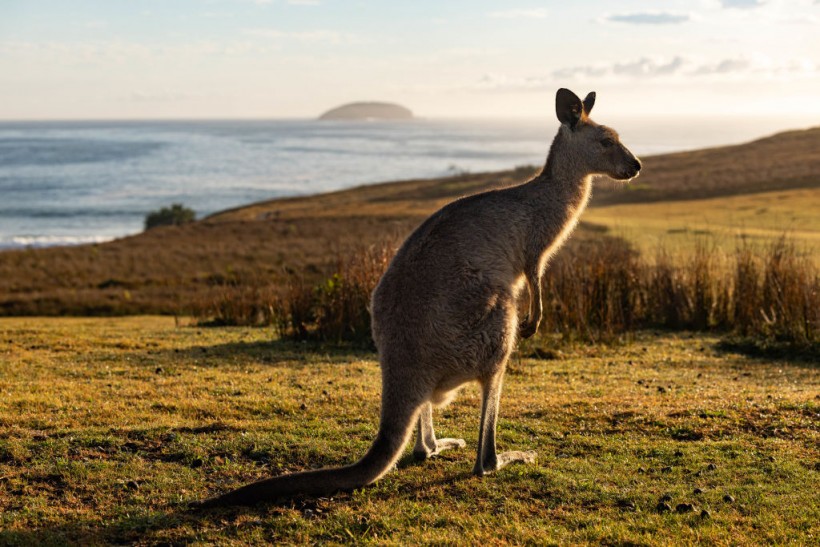 Australia's East Coast Gets Into Summer Mode