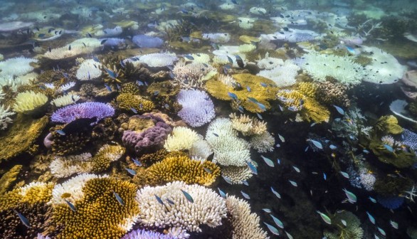 Great Barrier Reef