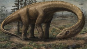 Dreadnoughtus schrani