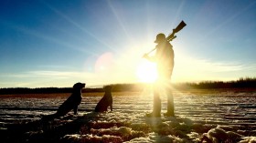 man standing holding rifle in front of dogs during daytime