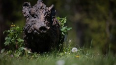 sculpture of wild boar