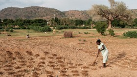 SUDAN-CONFLICT-AGRICULTURE-WATER