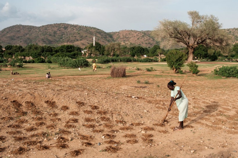 SUDAN-CONFLICT-AGRICULTURE-WATER