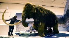 TOPSHOT-US-SCIENCE-MUSEUM-MAMMOTH